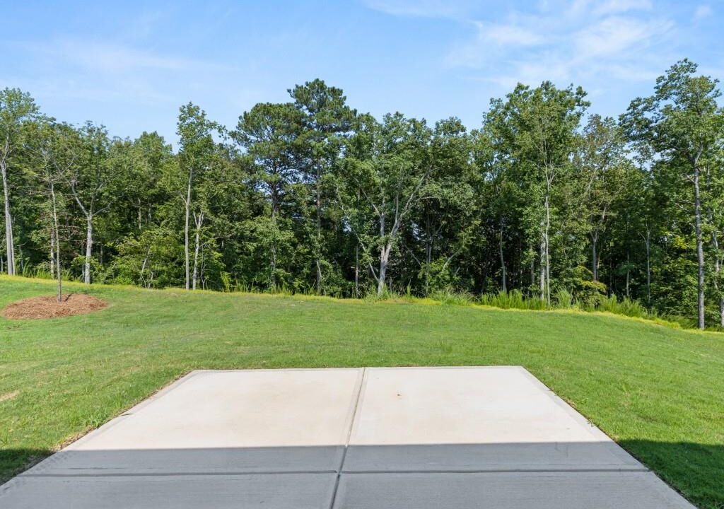 Viguie Realty 324 Majestic Oak Circle, Dallas, GA 30132 (12)